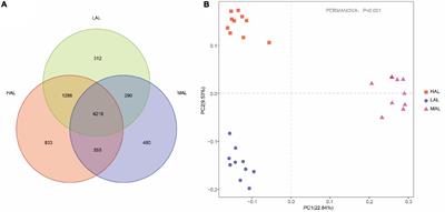 Comparison of Rumen Fermentation Parameters and Microbiota of Yaks From Different Altitude Regions in Tibet, China